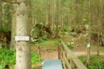 2014-07-05_Laengental-N-Hochweg (363). JPG